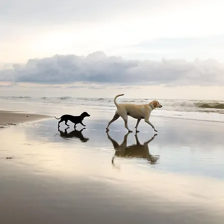 בית נופש Simply The Bay - Part Of The The Bay Village With Pool, Gym And Direct Access, Pub, Restaurant, Tennis And Meadows Walks *